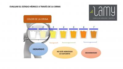 ¿SABES SI ESTAS BIEN HIDRATADO?